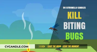 Citronella Candles: Effective Bug Bite Solution?