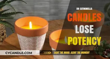 Citronella Candles: Do They Lose Their Potency Over Time?