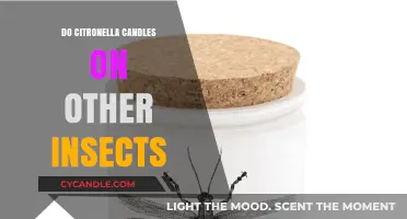 Citronella Candles: Insect Repellent or Attractant?
