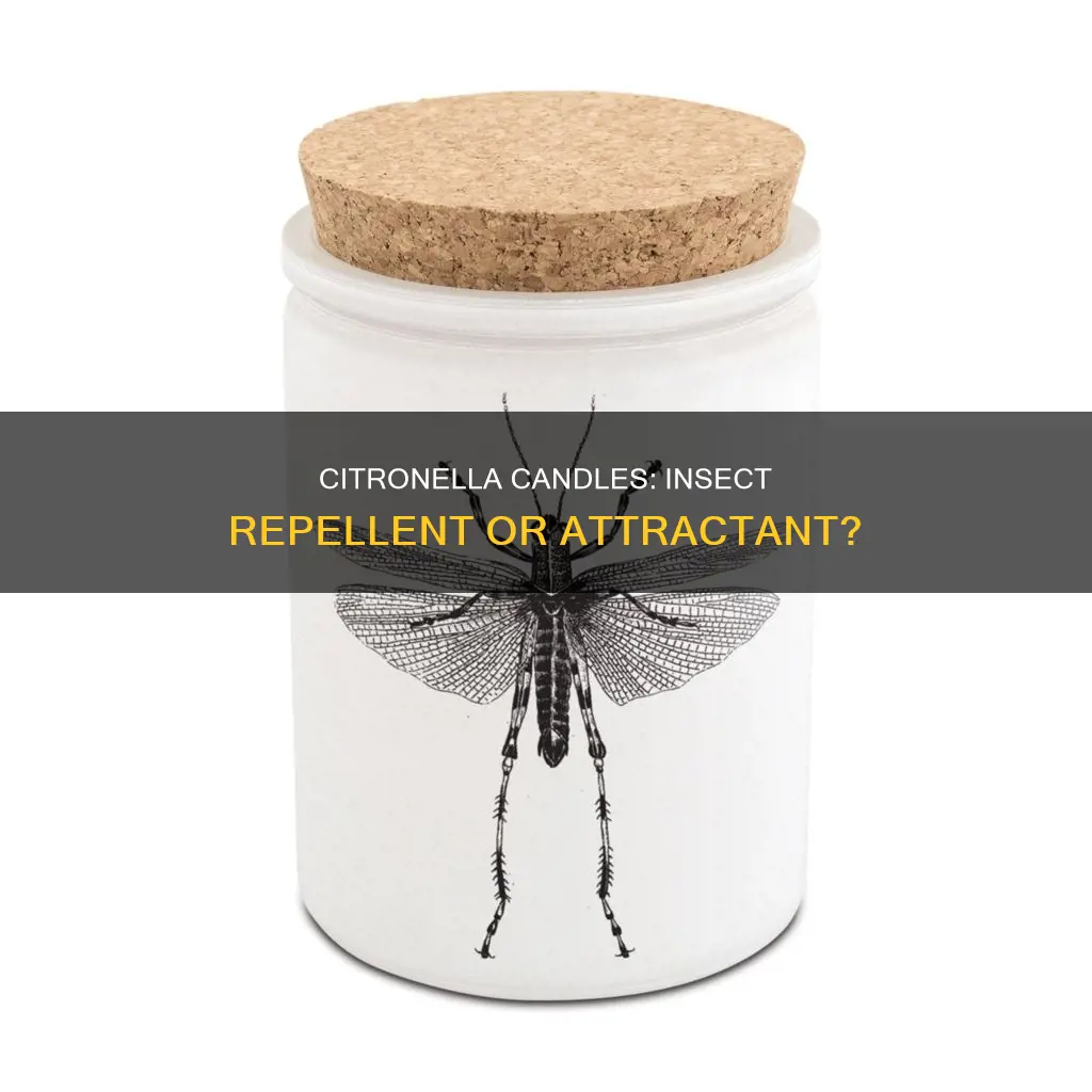 do citronella candles on other insects