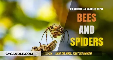 Citronella Candles: Bee and Spider Repellent?