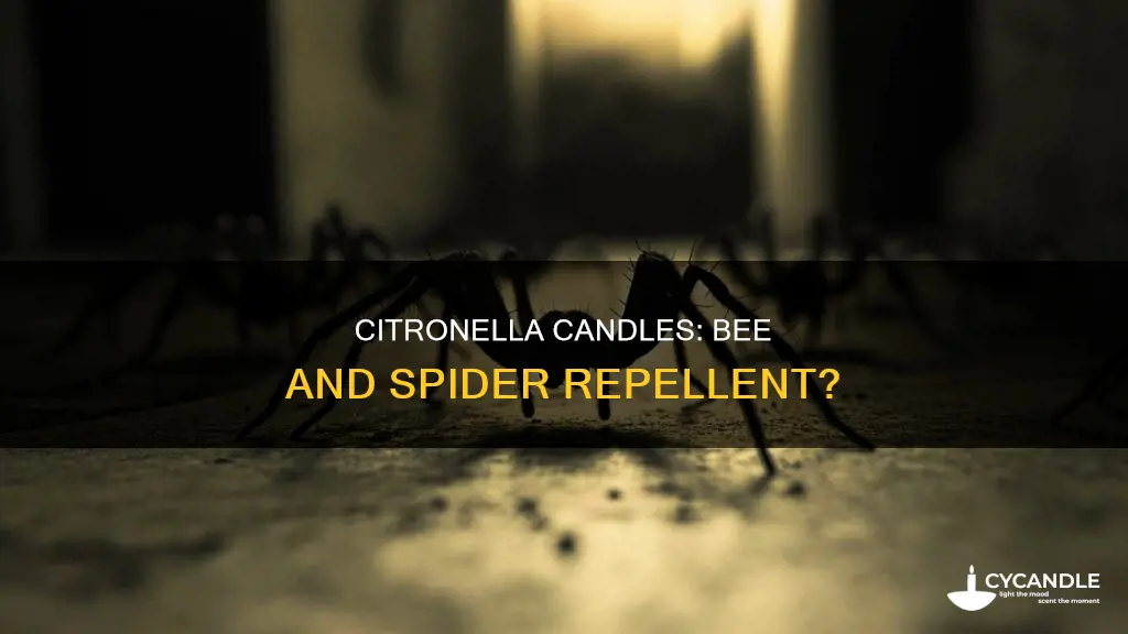 do citronella candles repel bees and spiders