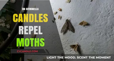 Citronella Candles: Effective Moth Repellent or Just a Myth?