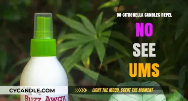 Citronella Candles: Effective No-See-Ums Repellent?