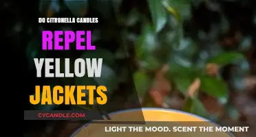 Effective Repellent? Citronella Candles and Yellow Jackets