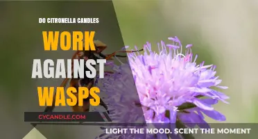 Citronella Candles: Effective Wasp Deterrent or Just a Myth?