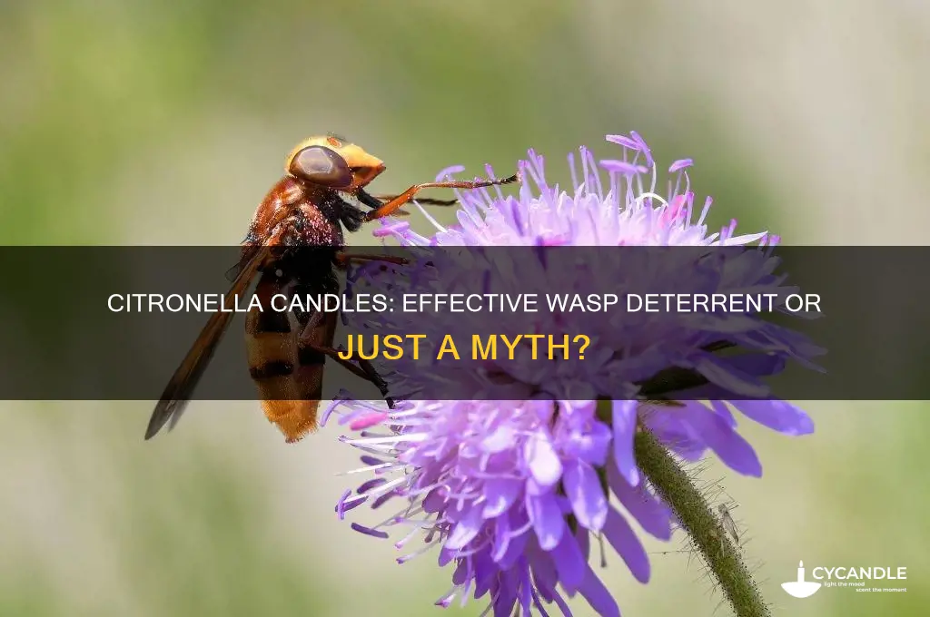 do citronella candles work against wasps