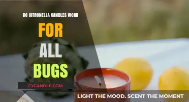 Do Citronella Candles Repel All Bugs? The Truth Revealed