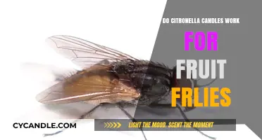 Citronella Candles: Effective Fruit Fly Repellent or Just a Myth?