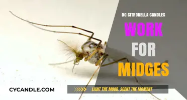 Citronella Candles vs Midges: Effective Repellent or Myth?