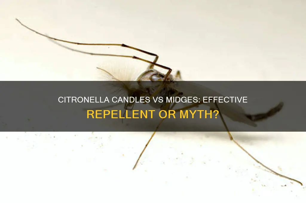 do citronella candles work for midges