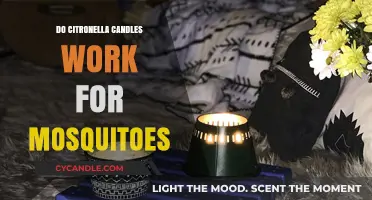 Citronella Candles: Effective Mosquito Repellent or Just a Myth?
