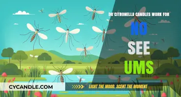 Do Citronella Candles Repel No-See-Ums? The Truth Revealed