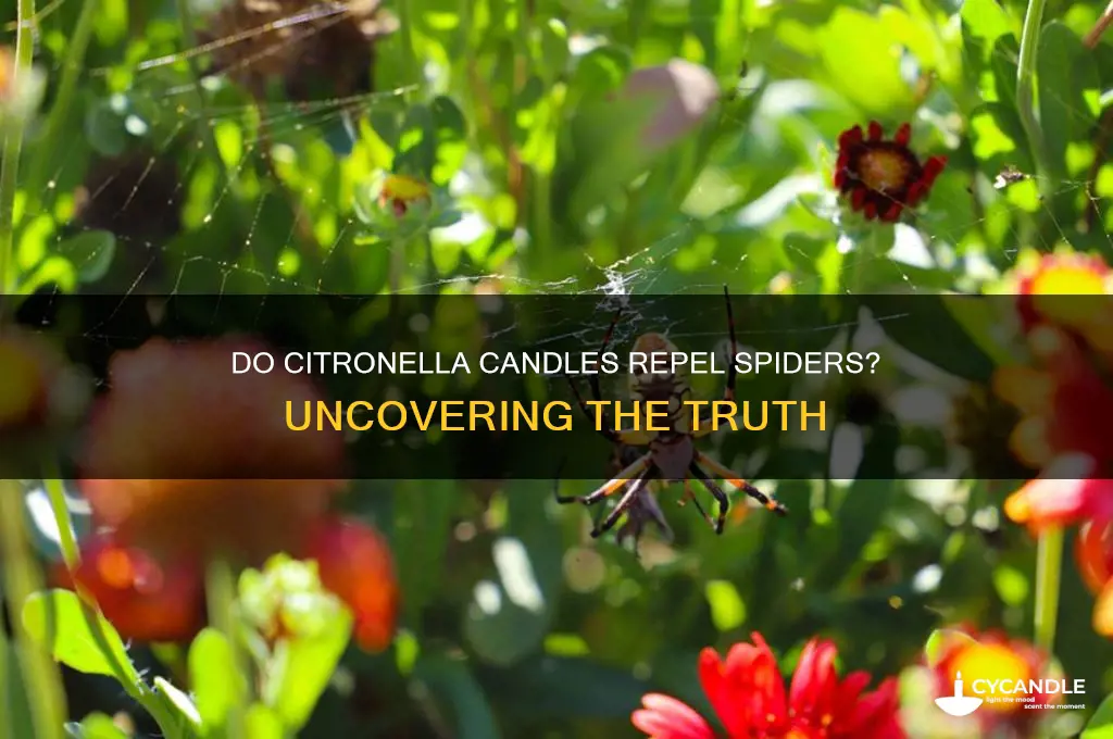 do citronella candles work for spiders