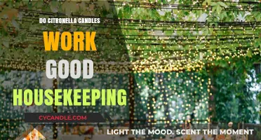 Do Citronella Candles Repel Mosquitoes? Good Housekeeping Insights