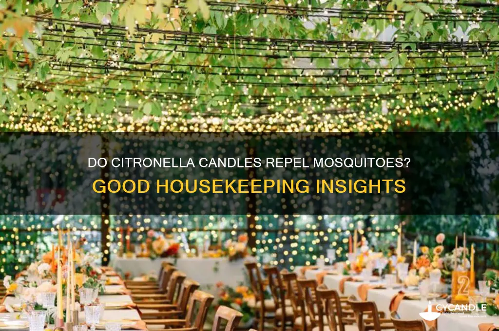 do citronella candles work good housekeeping