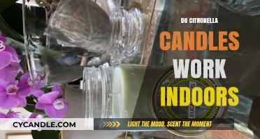 Do Citronella Candles Work Indoors? Debunking Myths and Facts