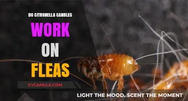 Citronella Candles and Fleas: Effective Repellent or Myth?