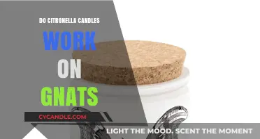 Citronella Candles vs Gnats: Do They Really Keep Pests Away?