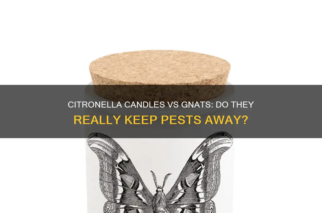 do citronella candles work on gnats