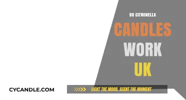 Do Citronella Candles Repel Mosquitoes Effectively in the UK?