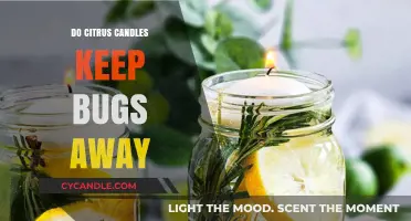 Citrus Candles: Natural Bug Repellent for Your Home