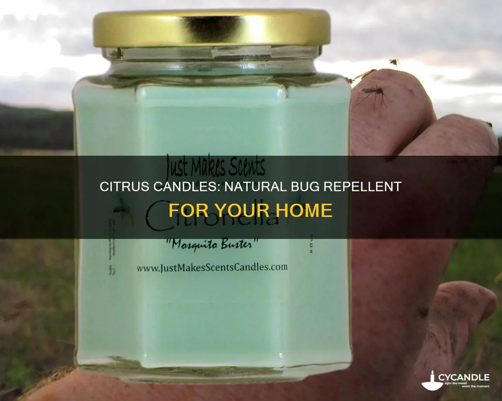 do citrus candles keep bugs away