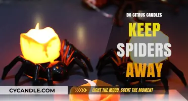 Citrus Candles: Effective Spider Repellent or Myth?