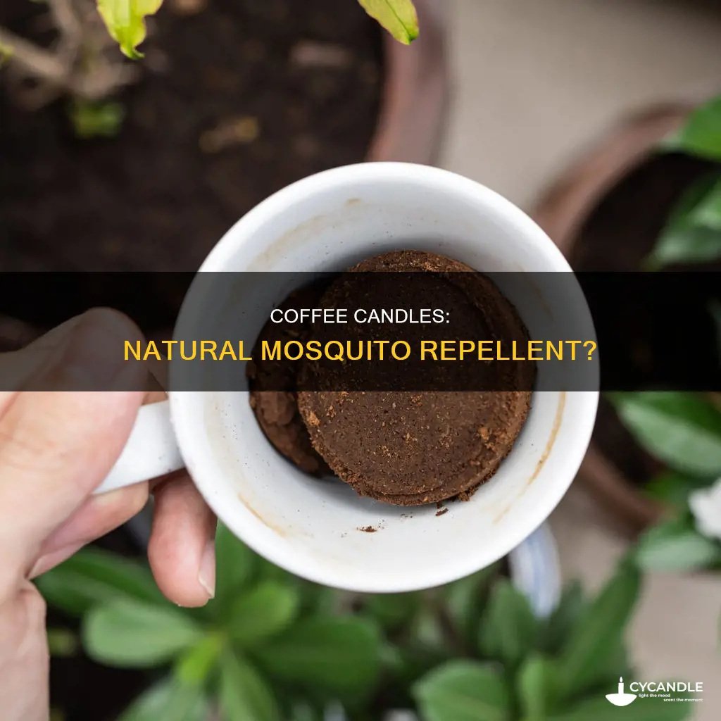 do coffee candles repel mosquitoes
