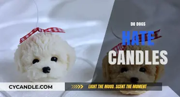 Candles and Canines: A Scent-ful Peace Treaty