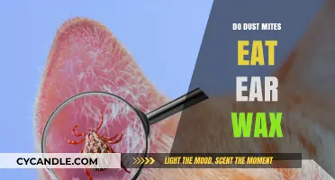 The Secret Life of Dust Mites: Do They Really Feast on Ear Wax?