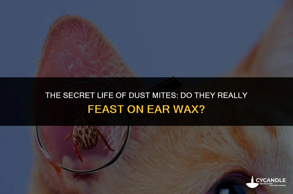 do dust mites eat ear wax