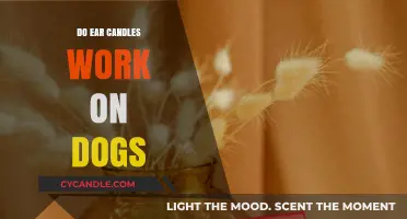 Ear Candling for Dogs: Effective Treatment or Risky Myth?