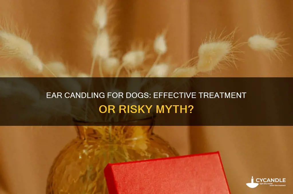 do ear candles work on dogs
