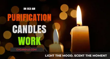 Do EC3 Air Purification Candles Really Work? A Critical Review