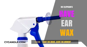 Exploring Elephant Ears: The Surprising Truth About Ear Wax