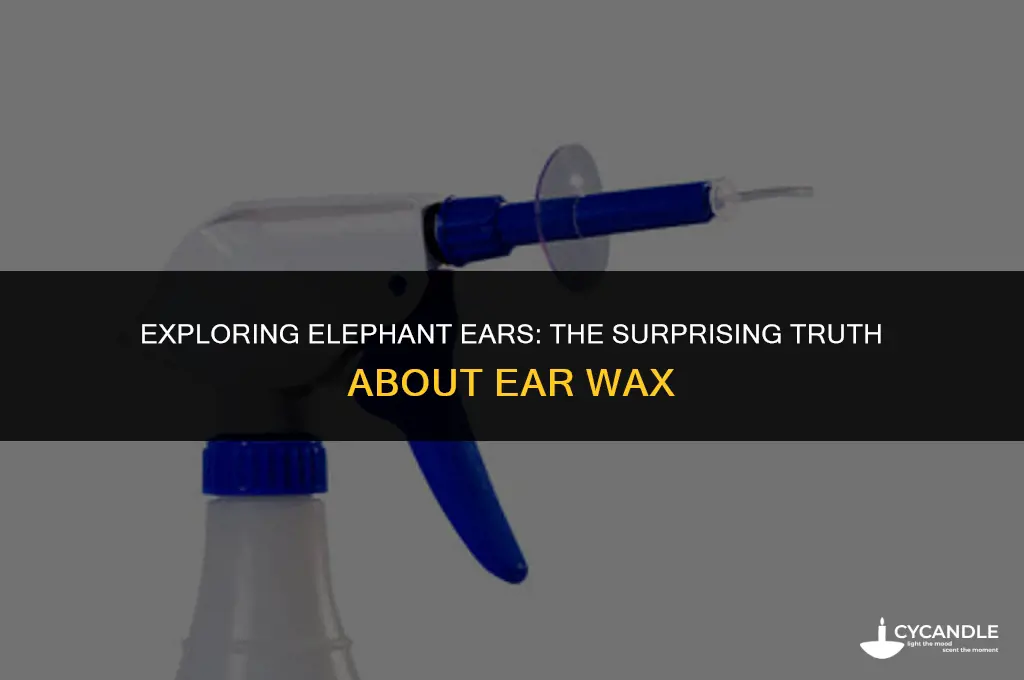 do elephants have ear wax