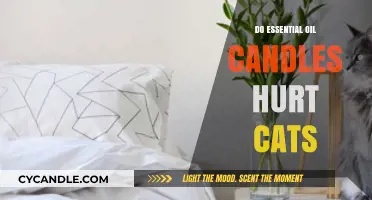 Essential Oil Candles: Safe or Toxic for Cats?