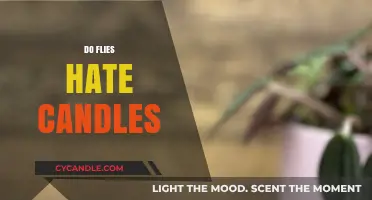 How to Keep Flies Away: Burning Candles