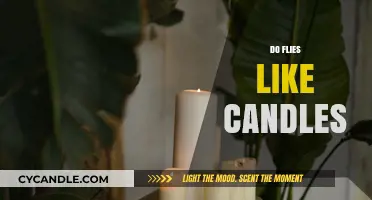 Flies and Candles: A Strange Attraction