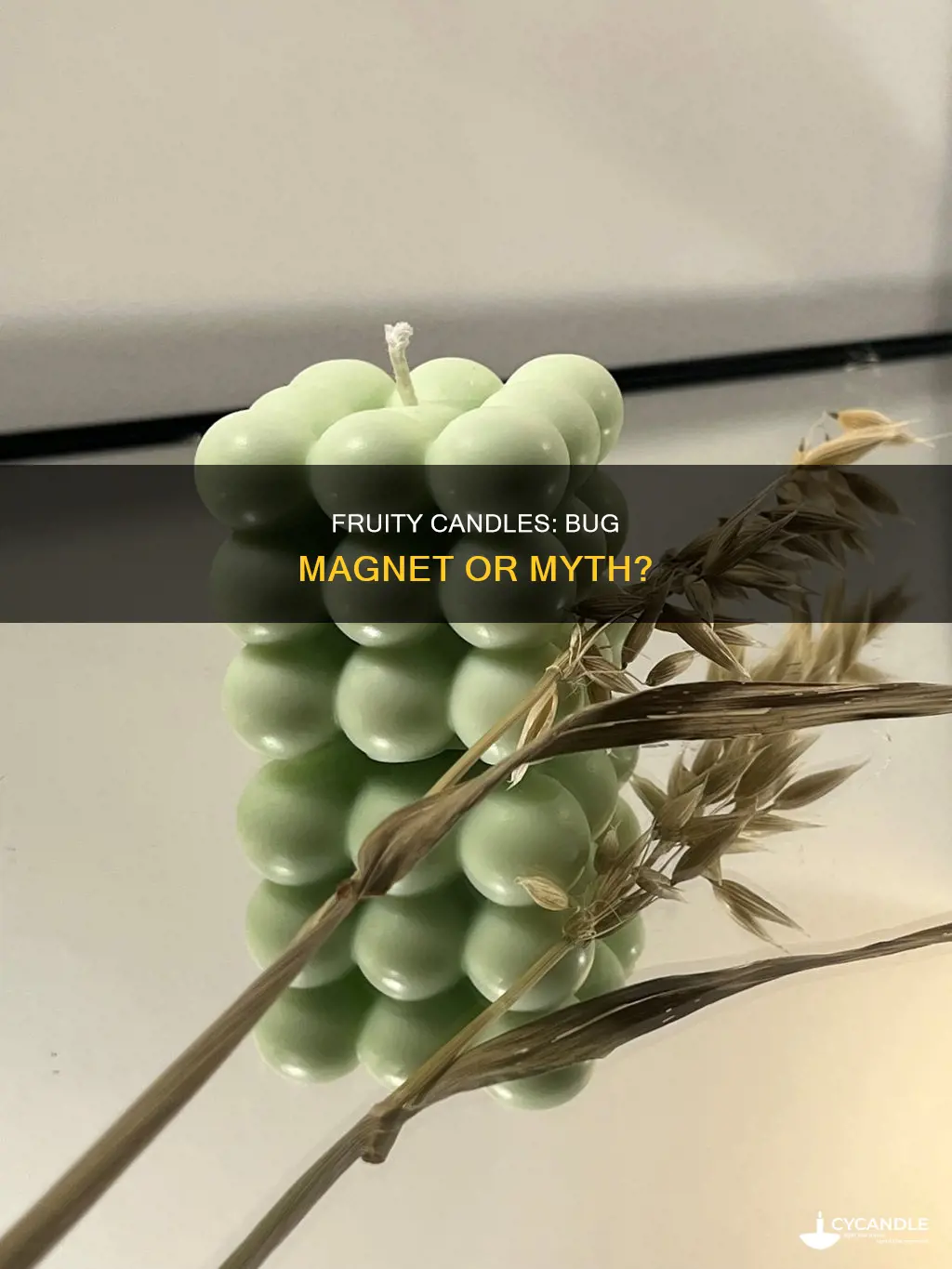 do fruity candles attract bugs
