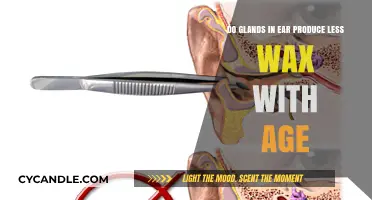 The Aging Ear: Do Glands Produce Less Wax Over Time?