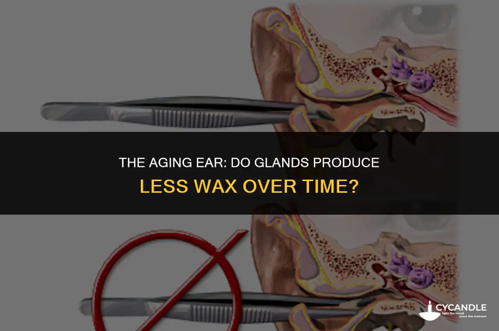 do glands in ear produce less wax with age