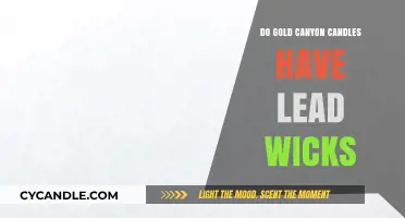 Are Gold Canyon Candles Safe? Lead Wicks Explained