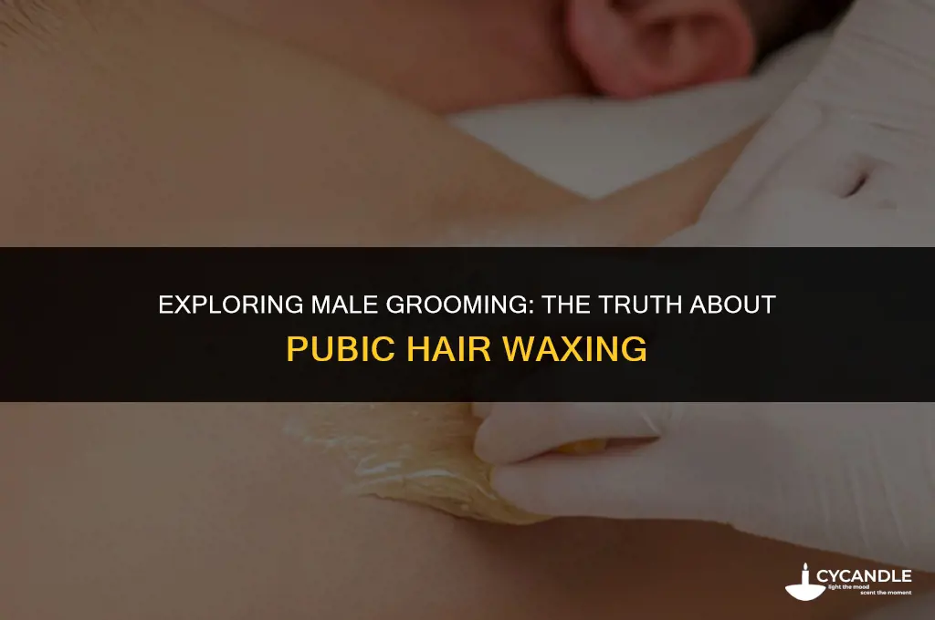 do guys get pubic hair waxed