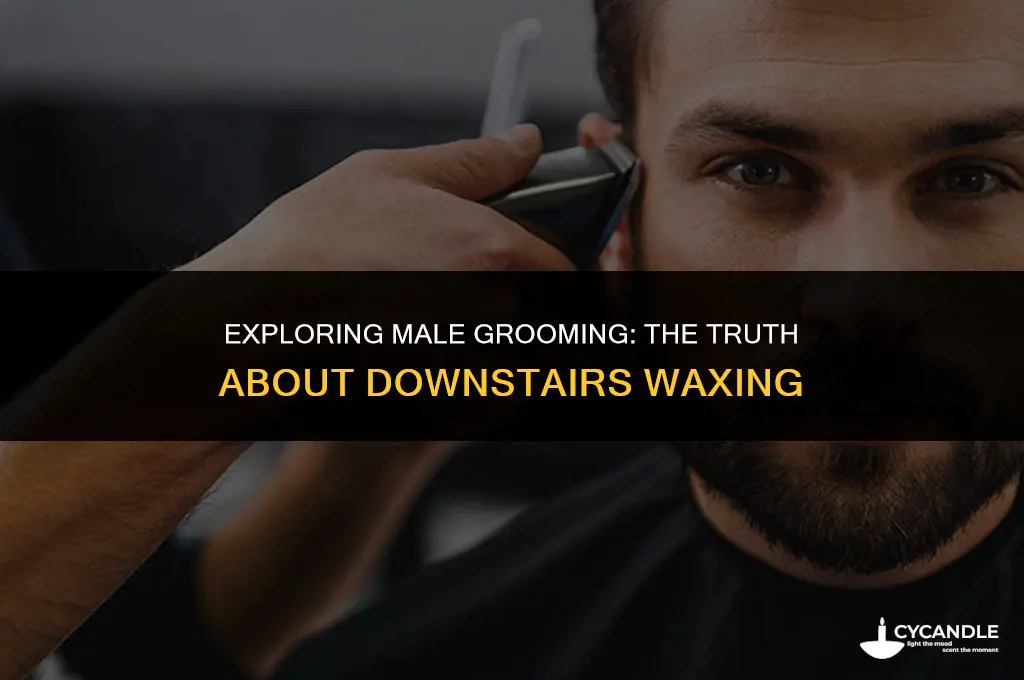 do guys get waxed downstairs