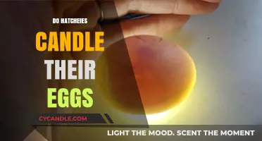 Hatching Secrets: Do Hatching Chicks Candle Their Eggs?