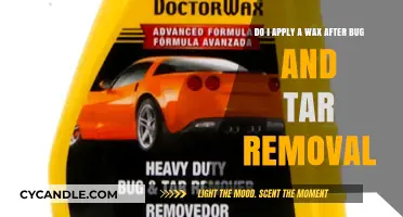 Should You Apply Wax After Removing Bugs and Tar? Tips and Best Practices