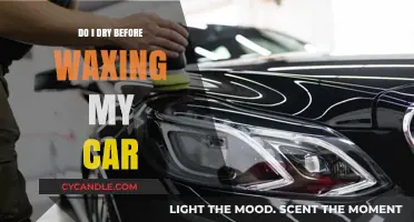 Prepping Your Car for Waxing: To Dry or Not to Dry?