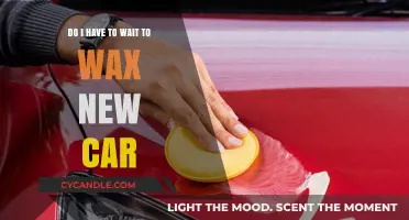 Should You Wax Your New Car Right Away? Expert Advice
